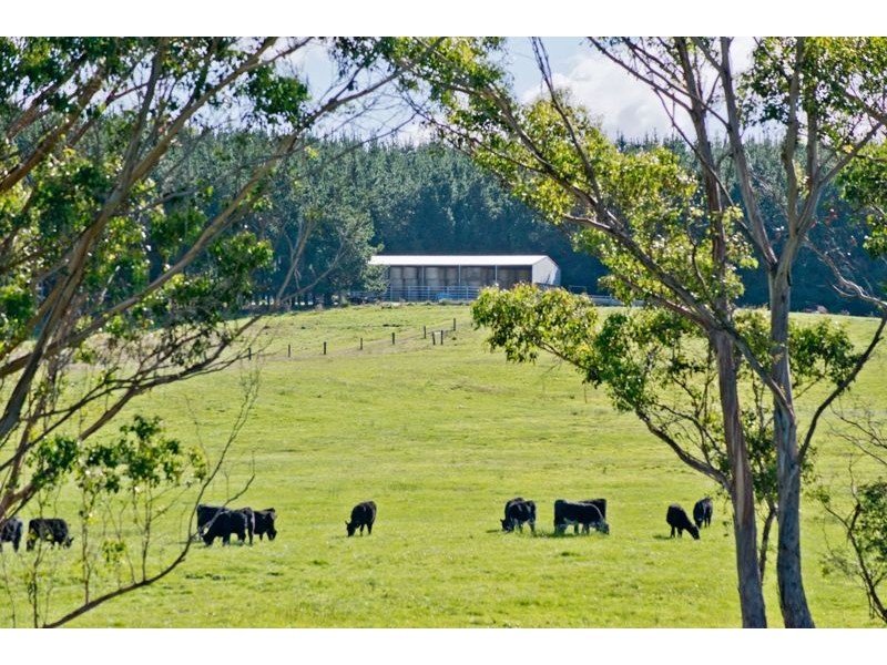 942 Old Waterhouse Road, North Scottsdale TAS 7260