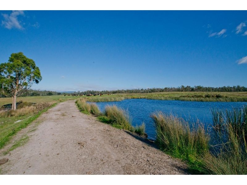 942 Old Waterhouse Road, North Scottsdale TAS 7260