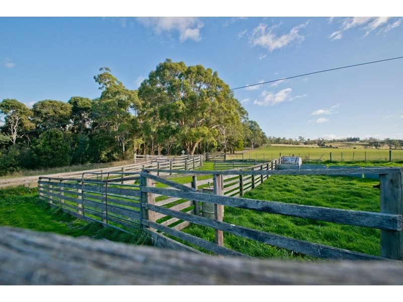 942 Old Waterhouse Road, North Scottsdale TAS 7260