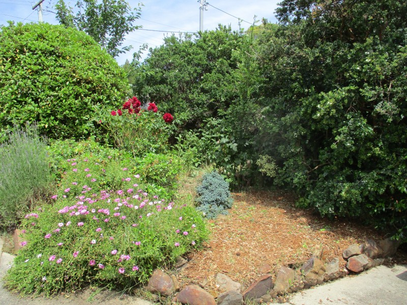 2/157 Pomona Road South, Riverside TAS 7250