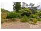 297 Low Head Road, Low Head TAS 7253