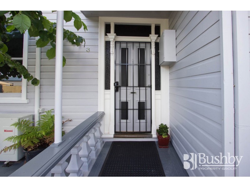 3 Donald Street, Invermay TAS 7248