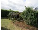 7 Atlantic Place, Prospect Vale TAS 7250