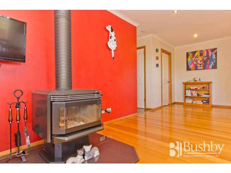 17 Burton Street, Hillwood TAS 7252