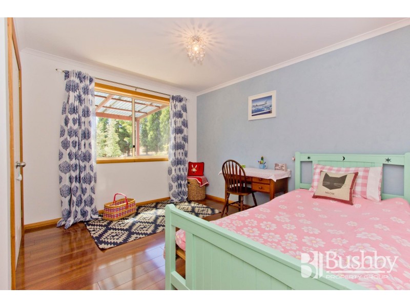 17 Burton Street, Hillwood TAS 7252