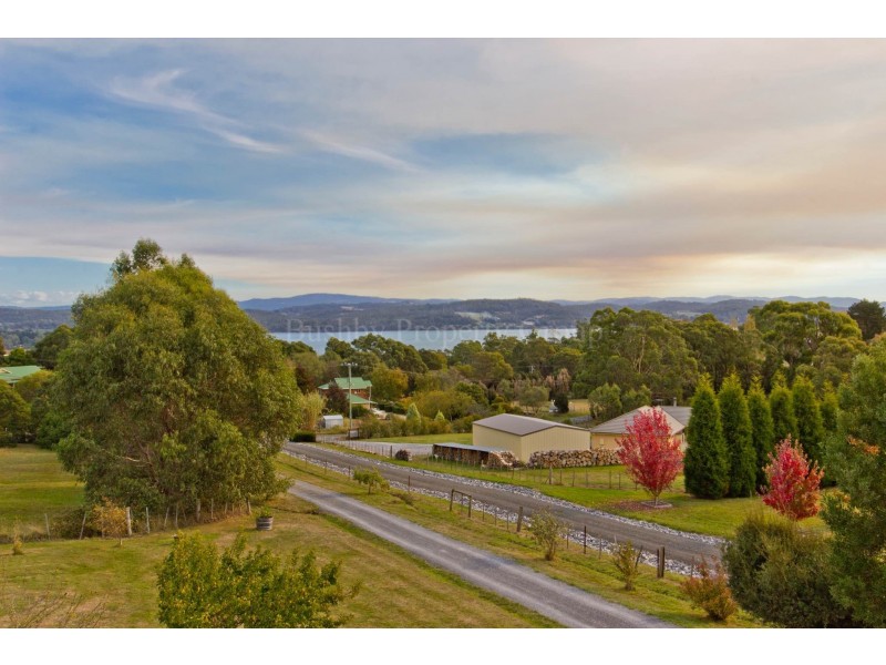 17 Burton Street, Hillwood TAS 7252