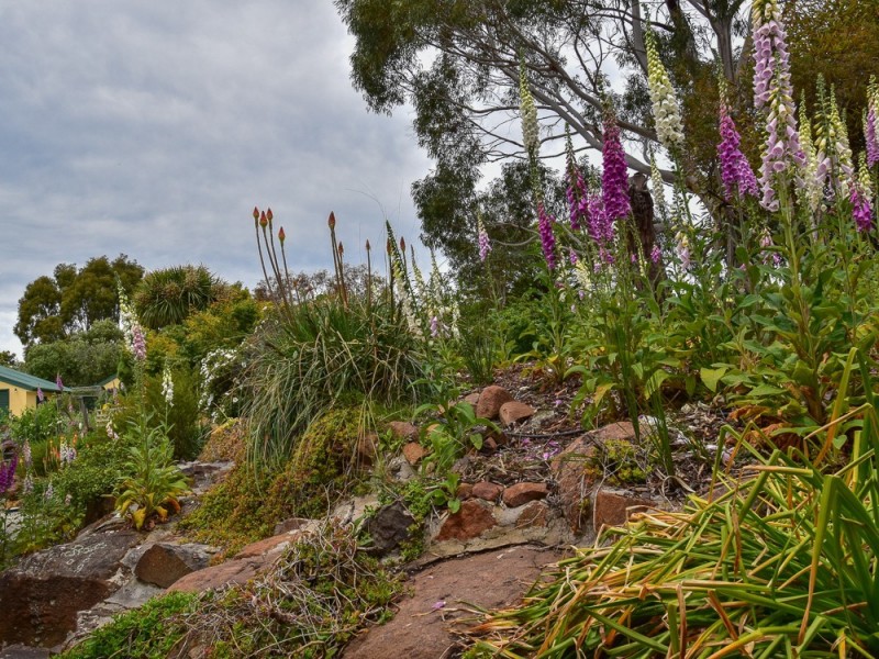 3 Illawong Place, Riverside TAS 7250