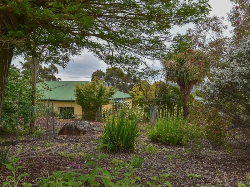 3 Illawong Place, Riverside TAS 7250