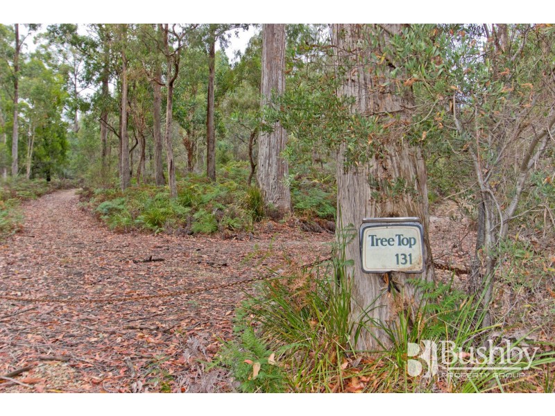 131 Jay Dee Road, Glengarry TAS 7275