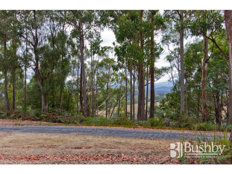 131 Jay Dee Road, Glengarry TAS 7275