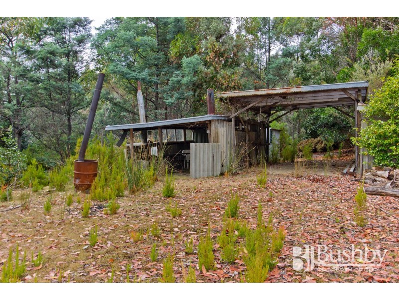 131 Jay Dee Road, Glengarry TAS 7275