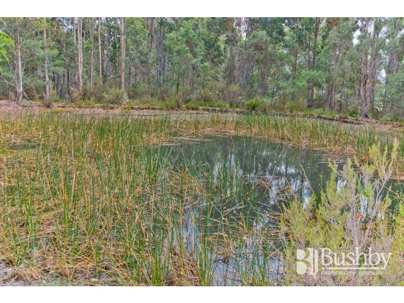 131 Jay Dee Road, Glengarry TAS 7275