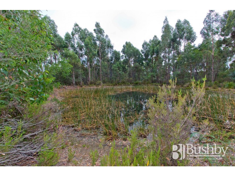 131 Jay Dee Road, Glengarry TAS 7275