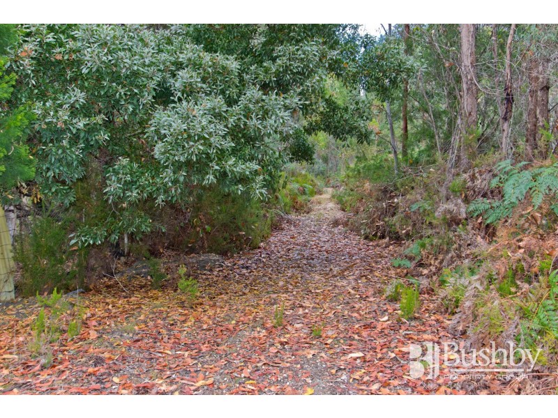 131 Jay Dee Road, Glengarry TAS 7275