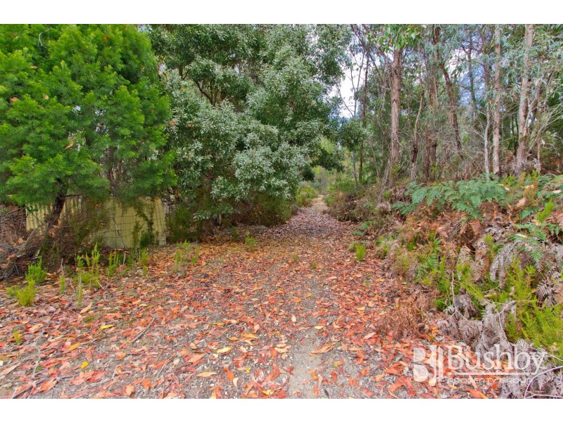 131 Jay Dee Road, Glengarry TAS 7275