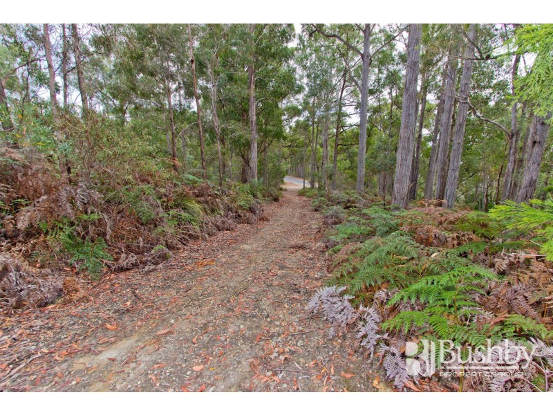 131 Jay Dee Road, Glengarry TAS 7275