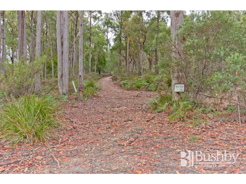 131 Jay Dee Road, Glengarry TAS 7275