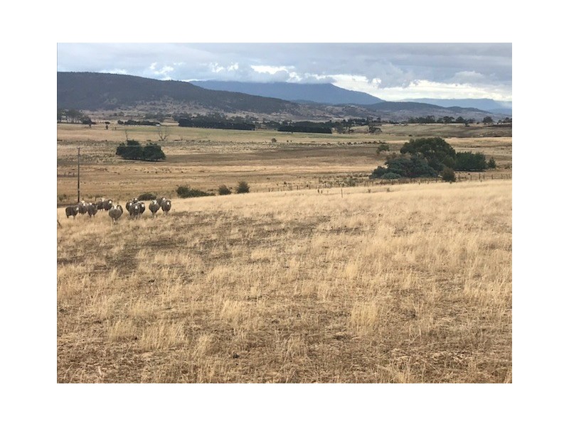 25 Power Street, Campbell Town TAS 7210