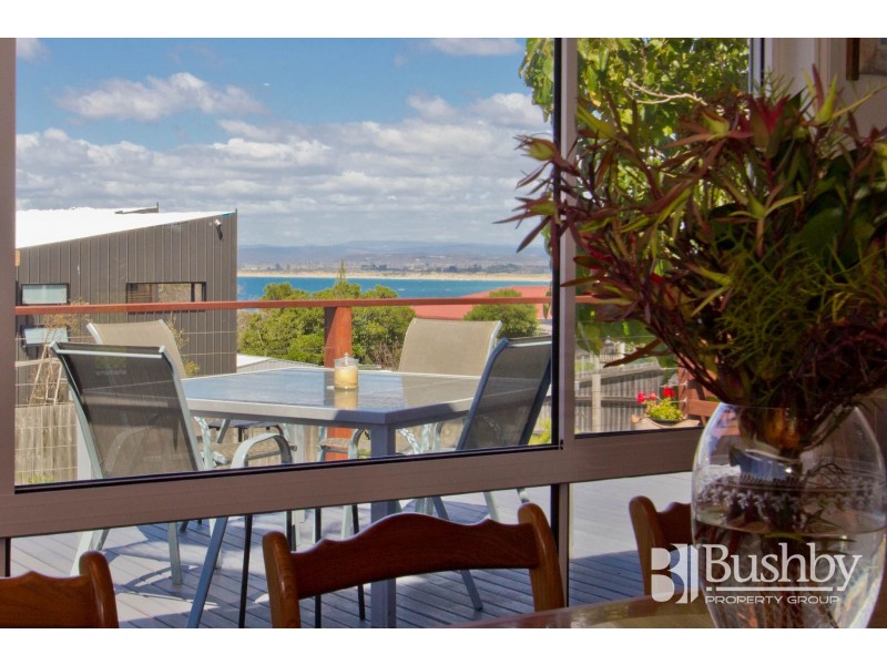 118A Richard Street, Bridport TAS 7262
