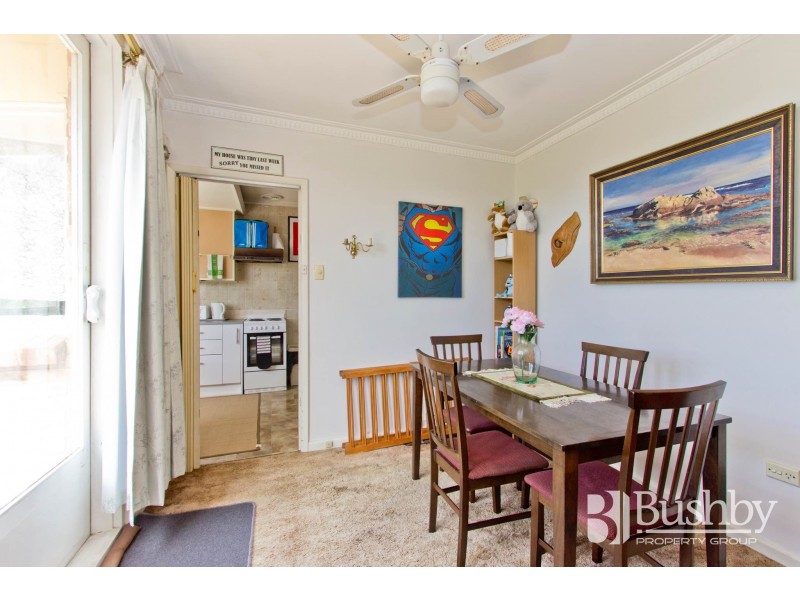 253 West Tamar Road, Riverside TAS 7250