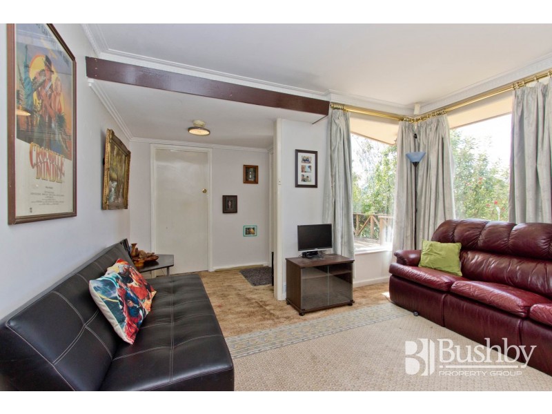 253 West Tamar Road, Riverside TAS 7250