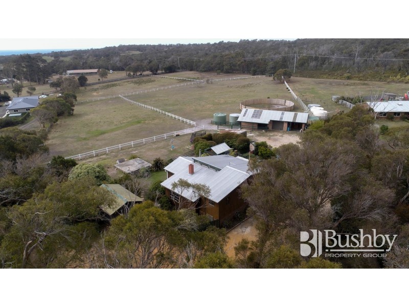 11 Camm Court, Bridport TAS 7262