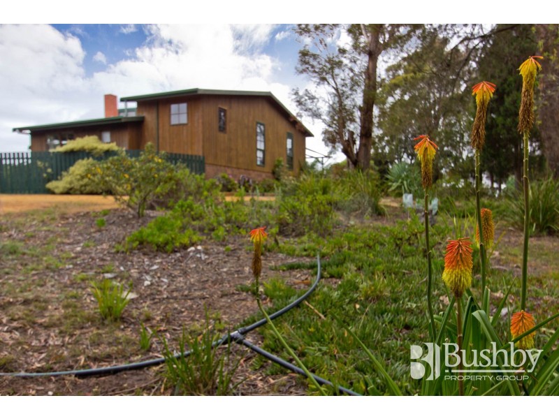 11 Camm Court, Bridport TAS 7262