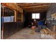 11 Camm Court, Bridport TAS 7262