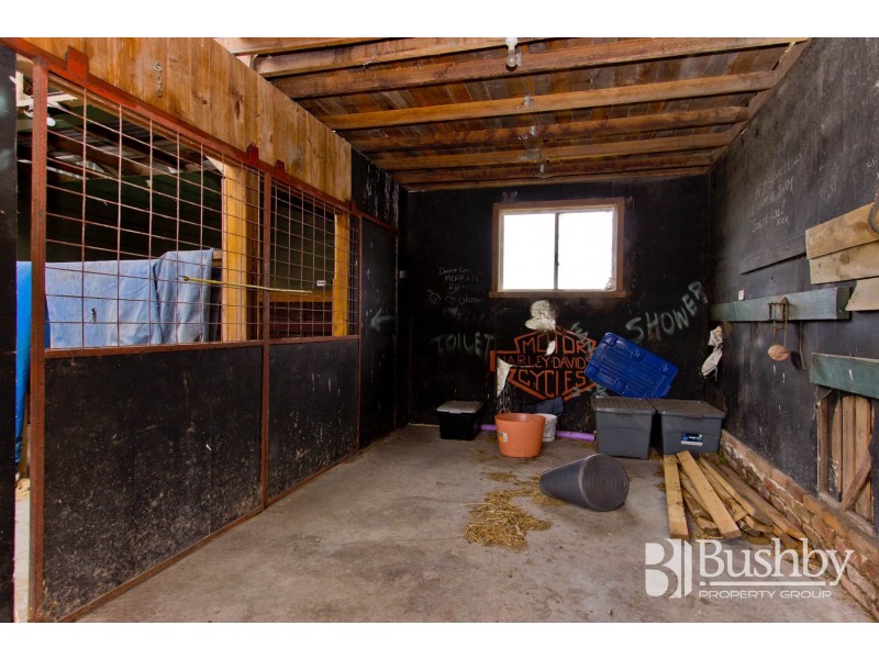 11 Camm Court, Bridport TAS 7262