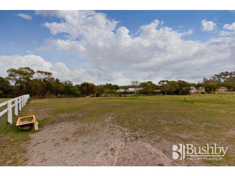 11 Camm Court, Bridport TAS 7262