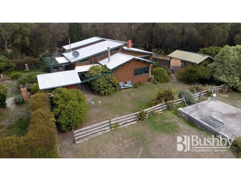 11 Camm Court, Bridport TAS 7262