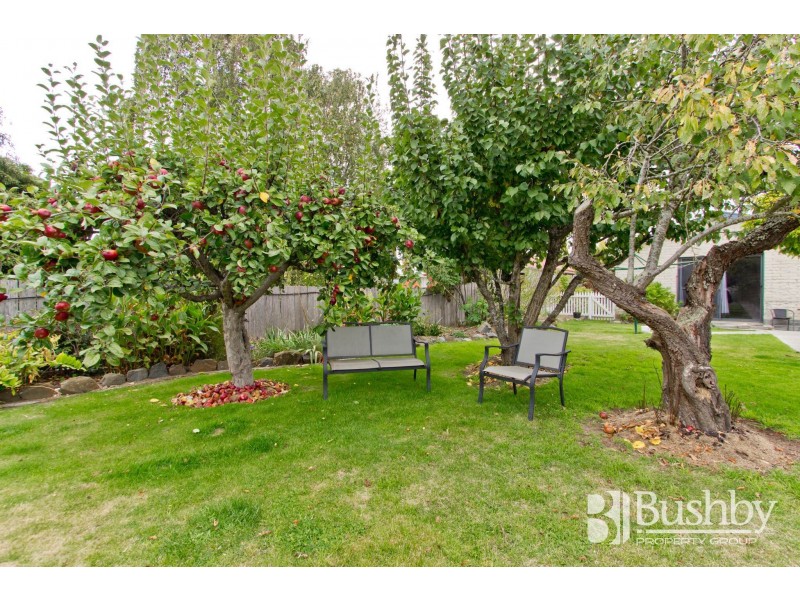 7 Norfolk Street, Perth TAS 7300