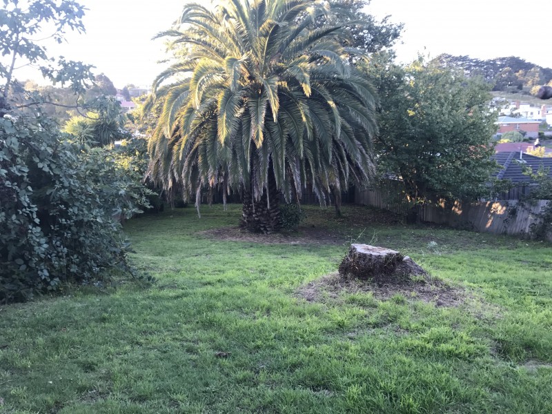 21 Punchbowl Road, Punchbowl TAS 7249