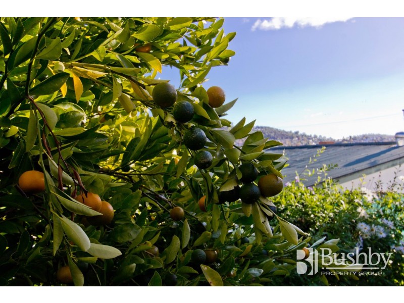 63 Melbourne Street, South Launceston TAS 7249