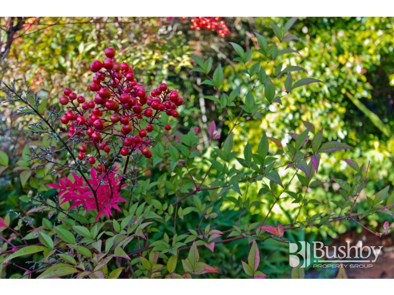 63 Melbourne Street, South Launceston TAS 7249