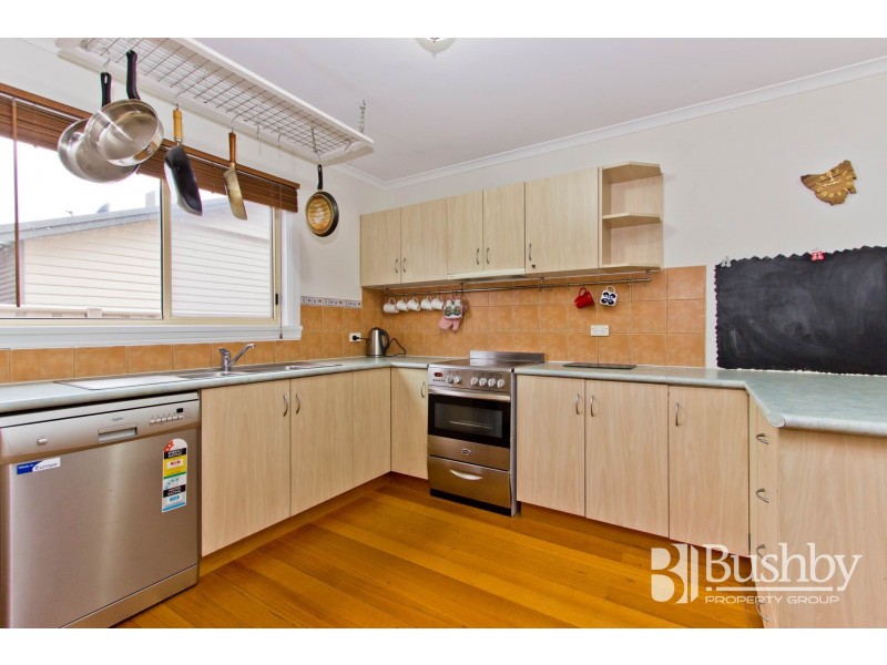 10 Howard Street, Invermay TAS 7248