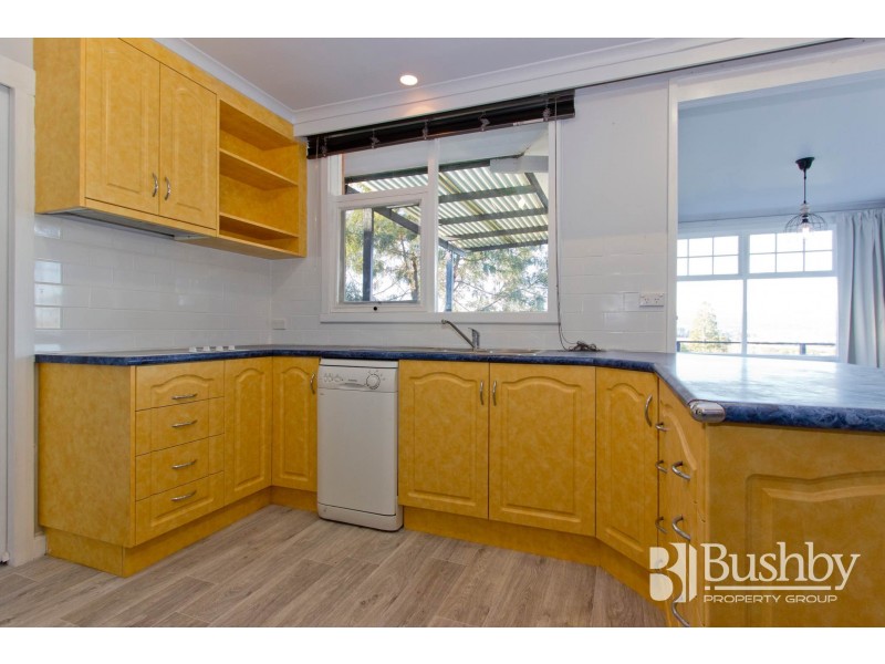 14 Riverside Drive, Riverside TAS 7250
