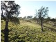 Lot 1, 21 Waverley Road, Waverley TAS 7250