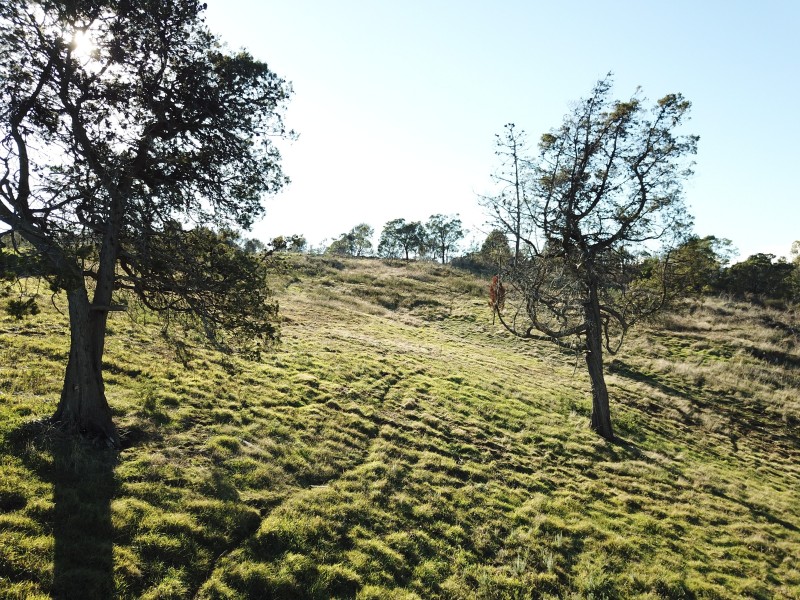 Lot 1, 21 Waverley Road, Waverley TAS 7250