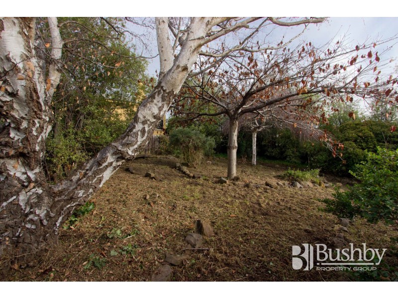 20 Guy Street, Kings Meadows TAS 7249