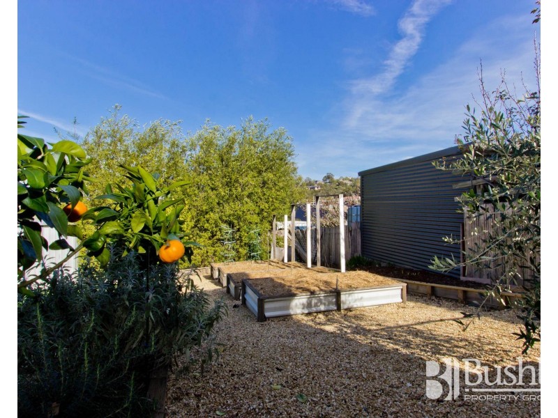35 Harold Street, Kings Meadows TAS 7249