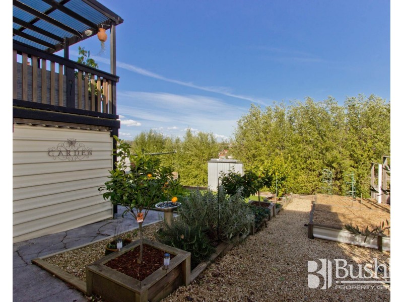 35 Harold Street, Kings Meadows TAS 7249