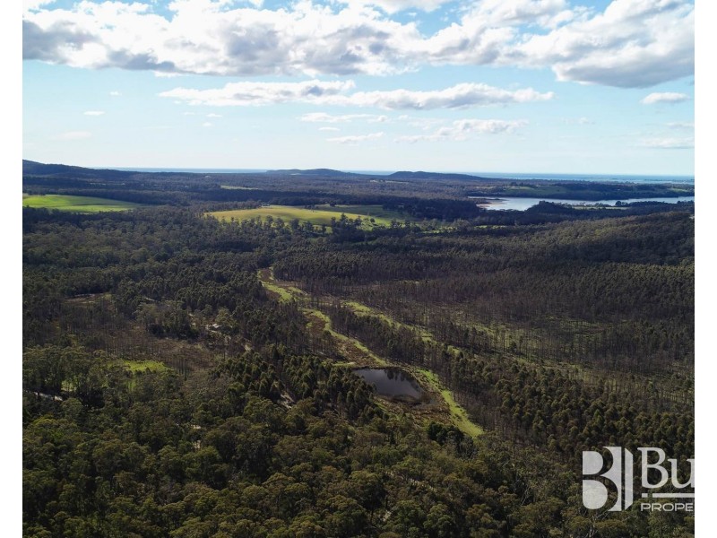 240 Tattersalls Road, Beaconsfield TAS 7270