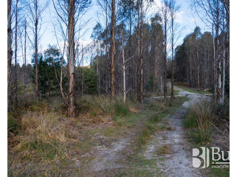 240 Tattersalls Road, Beaconsfield TAS 7270