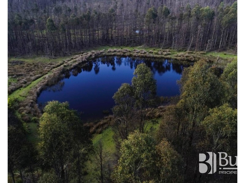 240 Tattersalls Road, Beaconsfield TAS 7270
