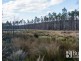 240 Tattersalls Road, Beaconsfield TAS 7270
