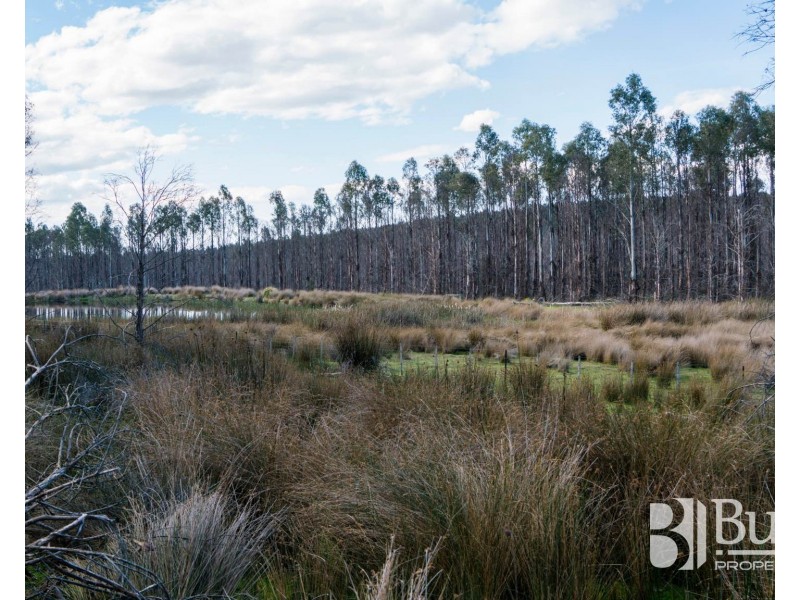 240 Tattersalls Road, Beaconsfield TAS 7270