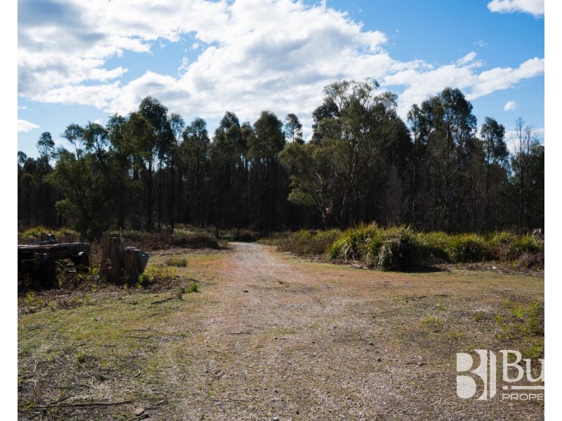 240 Tattersalls Road, Beaconsfield TAS 7270