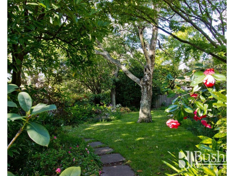5 Richards Avenue, Newstead TAS 7250