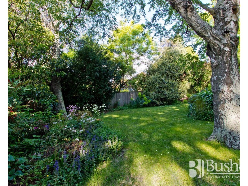 5 Richards Avenue, Newstead TAS 7250